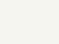 White finish swatch